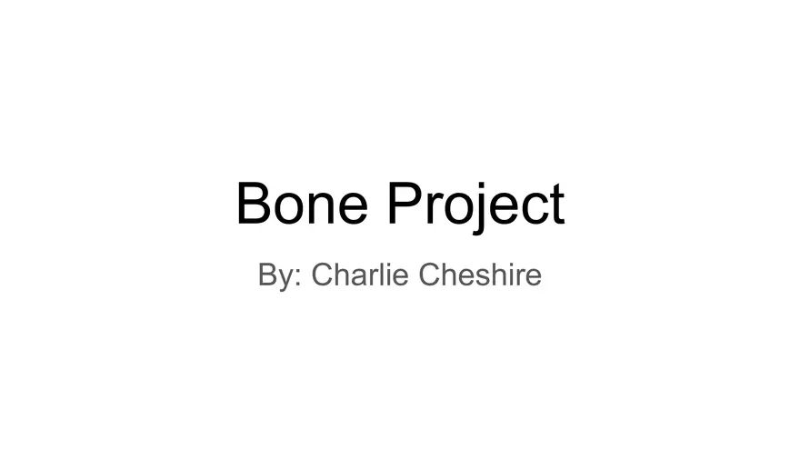 Bone Project Presentation - Page 1