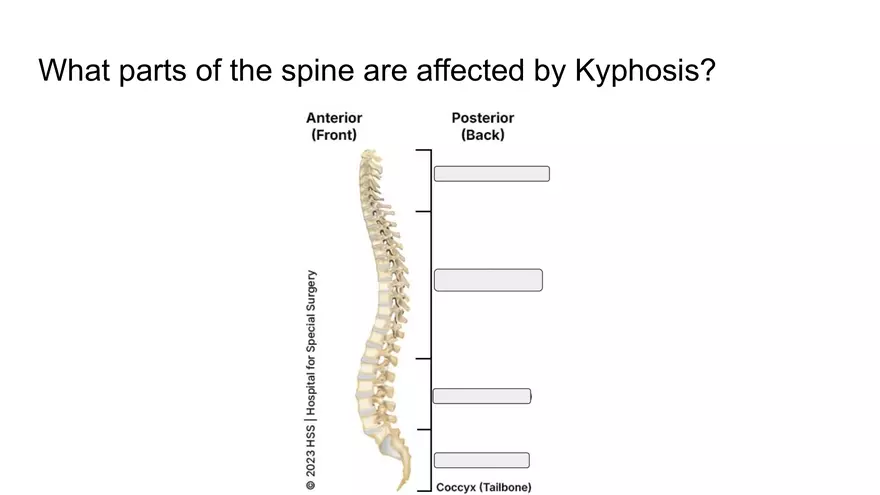Bone Project Presentation - Page 40