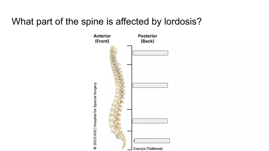 Bone Project Presentation - Page 41