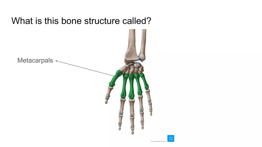 Bone Project Presentation - Page 83
