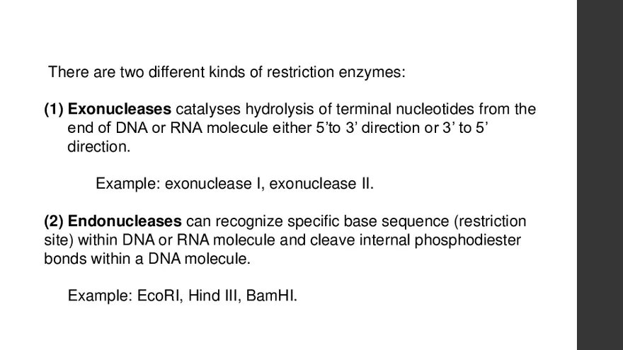 Enzymes Used in Recombinant DNA Technology - Page 4