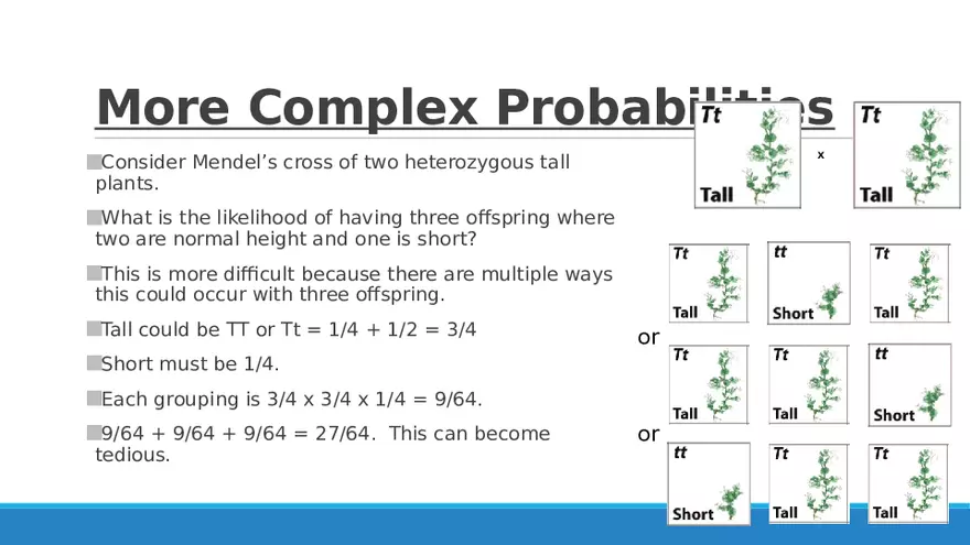 Summary of Aneuploidies Part 6 - Page 8