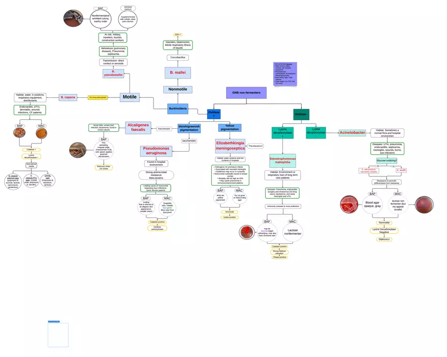 Melioidosis Transmission and Risk Factors - Page 1