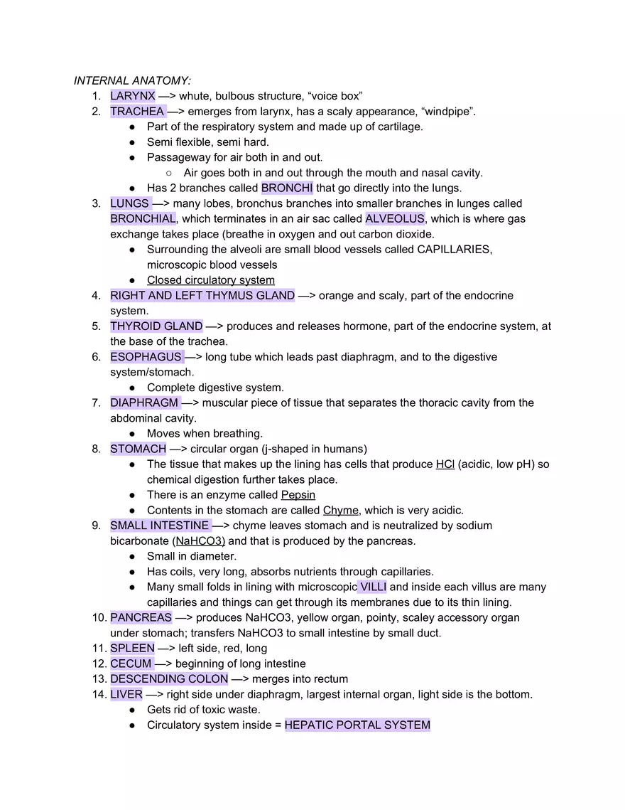 Lab 10 Fetal Pig - Page 2