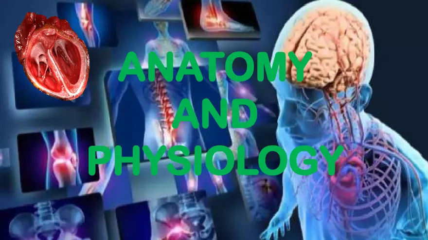 Definitions, Levels of Organization, and Functional Characteristics of Life - Page 1