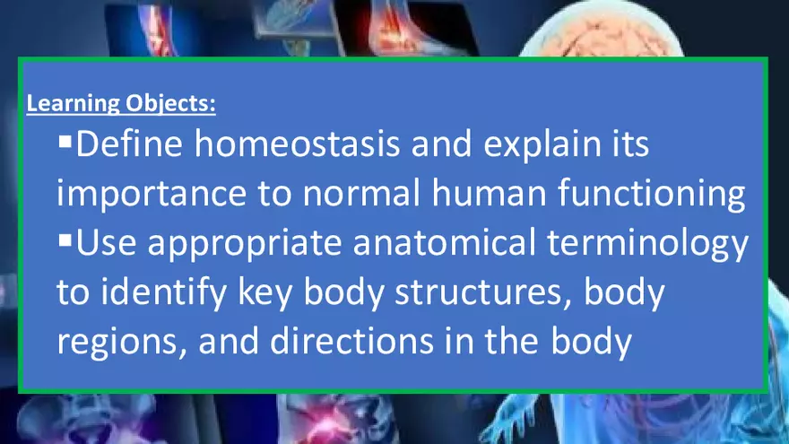 Definitions, Levels of Organization, and Functional Characteristics of Life - Page 3