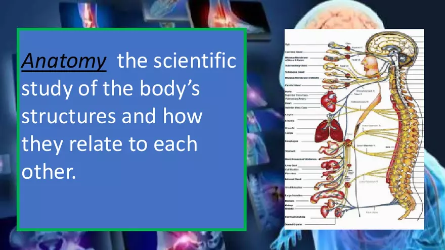 Definitions, Levels of Organization, and Functional Characteristics of Life - Page 4