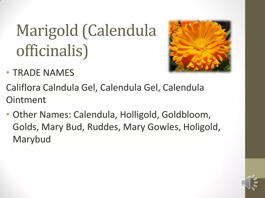 Herbal Drugs for Skin, Eye and Rheumatic Disorders - Page 4