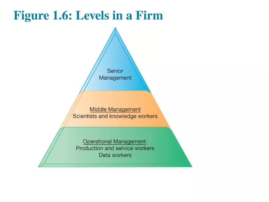 Information Systems in Business Today Lecture 3 - Page 8