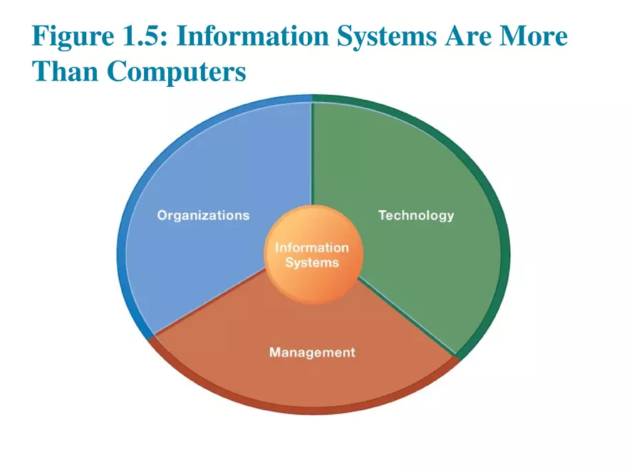 Information Systems in Business Today Lecture 3 - Page 2
