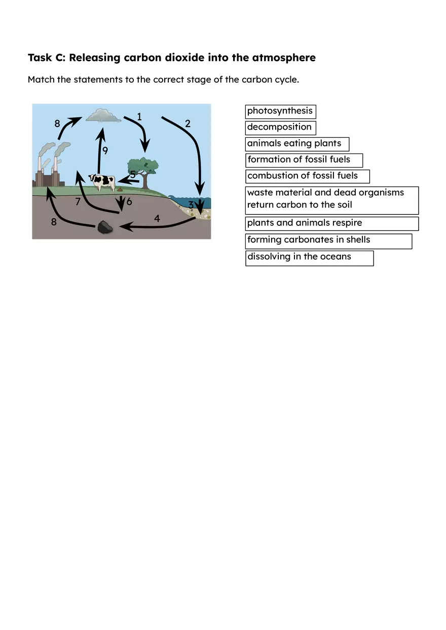 The Carbon Cycle Guide - Page 2