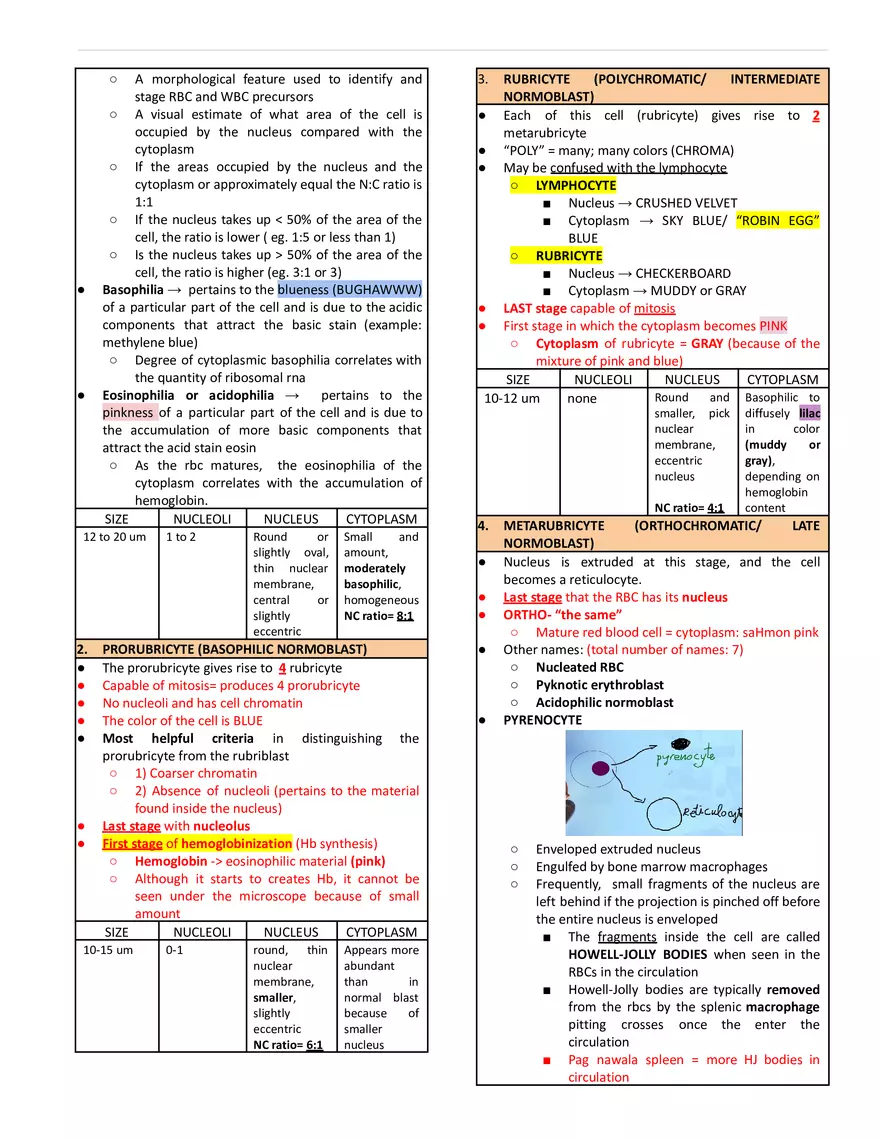 Erythropoiesis and Reticulocytes - Page 3
