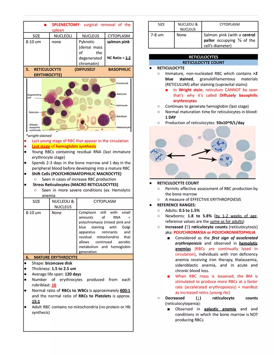 Erythropoiesis and Reticulocytes - Page 4