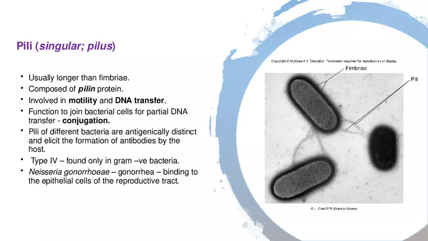 Classification of Microorganisms Lecture 2 - Page 9
