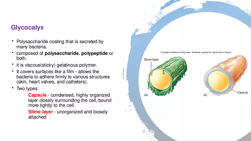 Classification of Microorganisms Lecture 2 - Page 10