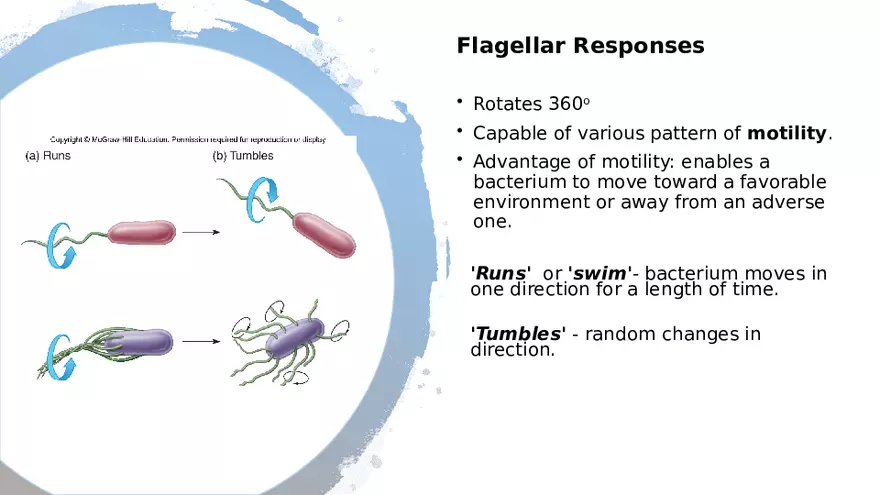 Classification of Microorganisms Lecture 2 - Page 5