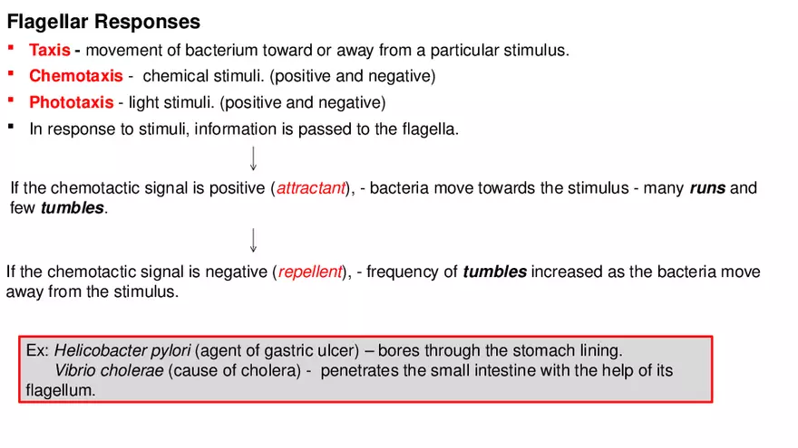 Classification of Microorganisms Lecture 2 - Page 6