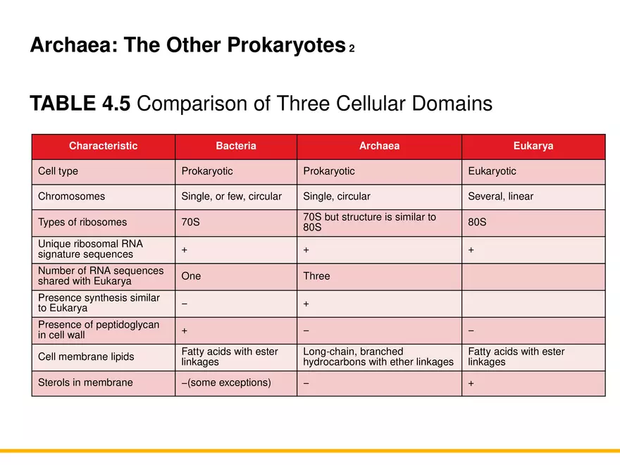 A Survey of Prokaryotic Cells and Microorganisms Lecture 10 - Page 13