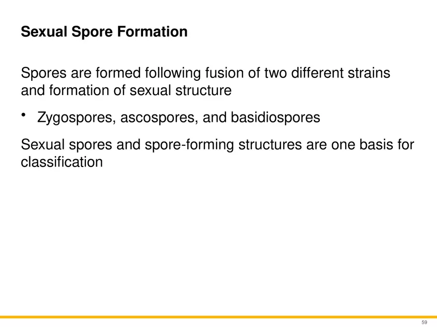 A Survey of Eukaryotic Cells and Microorganisms Part 6 - Page 8