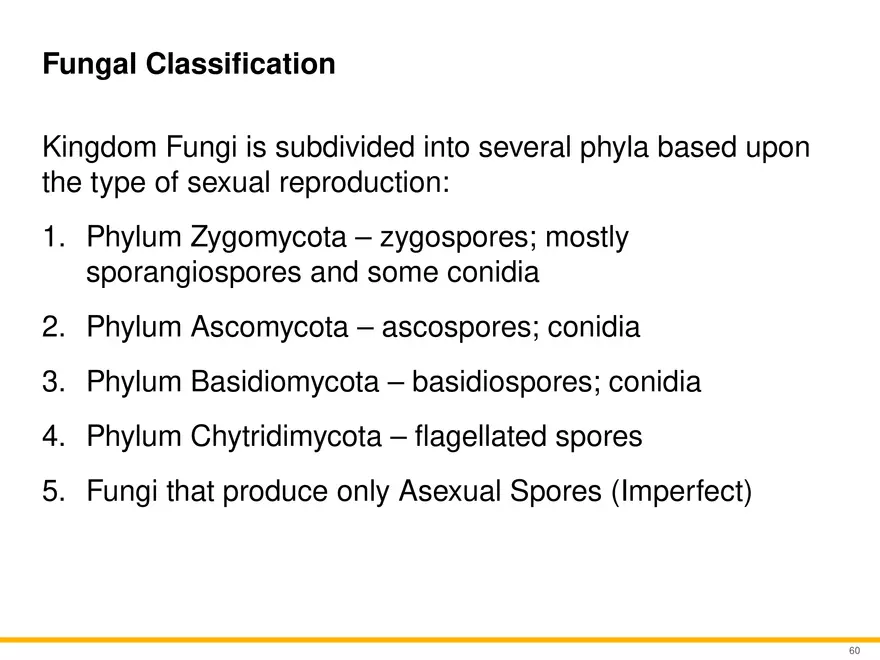 A Survey of Eukaryotic Cells and Microorganisms Part 6 - Page 9