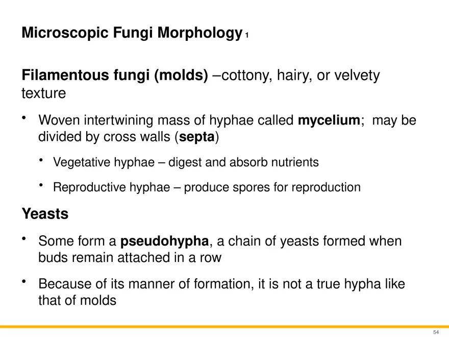A Survey of Eukaryotic Cells and Microorganisms Part 6 - Page 3