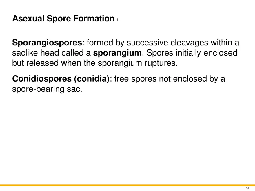 A Survey of Eukaryotic Cells and Microorganisms Part 6 - Page 6