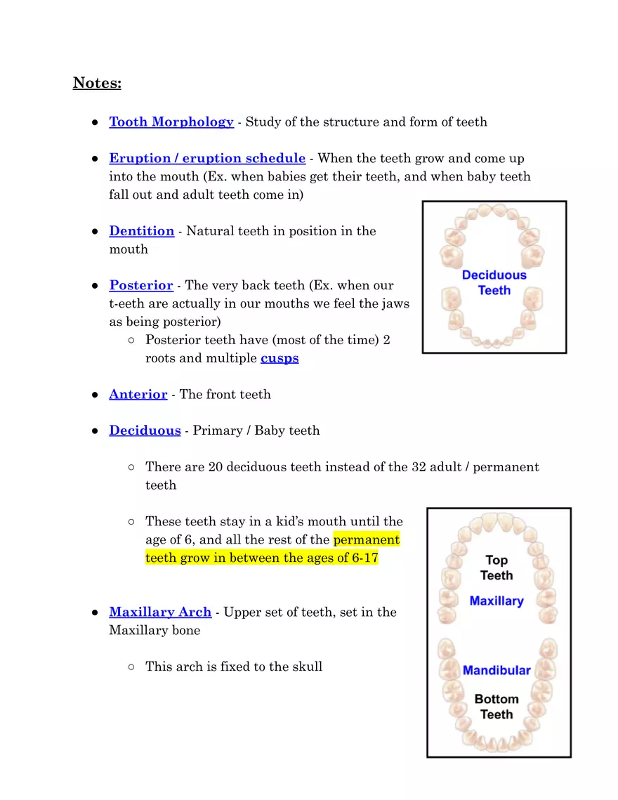 Tooth Morphology - Page 1