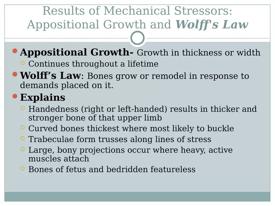 Chapter 6 Bones and Skeletal Tissue Part 2 - Page 7
