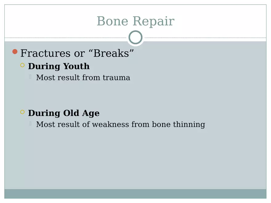 Chapter 6 Bones and Skeletal Tissue Part 2 - Page 8