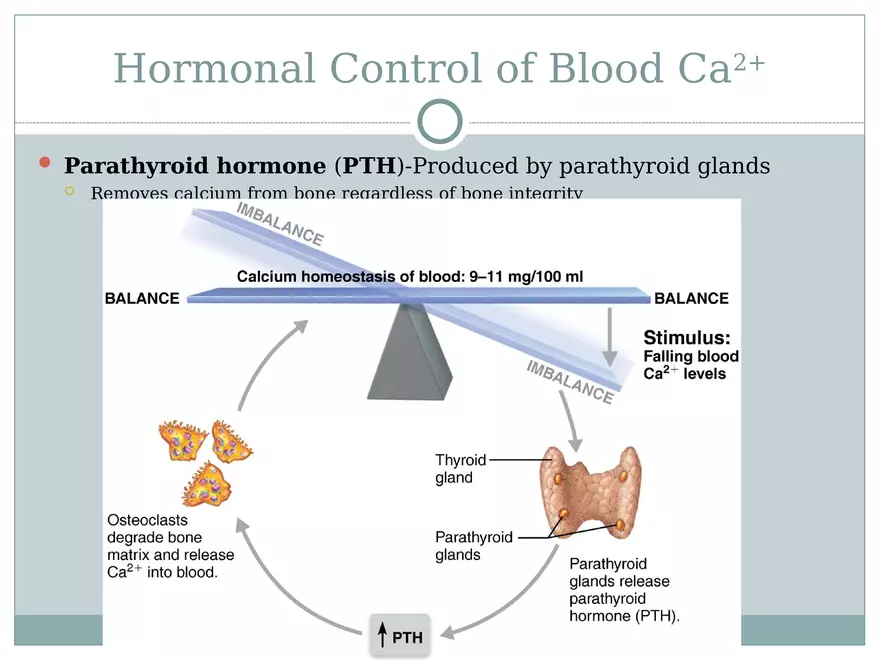 Chapter 6 Bones and Skeletal Tissue Part 2 - Page 6