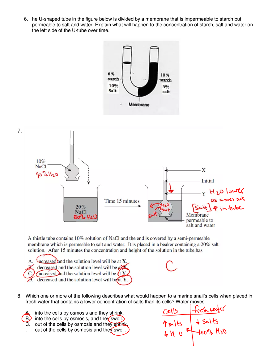 Osmosis Practice Problems - Page 2