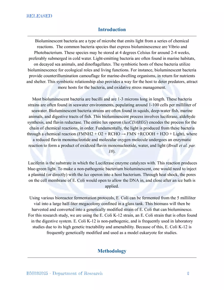 Bioluminescent Bacteria - Page 2