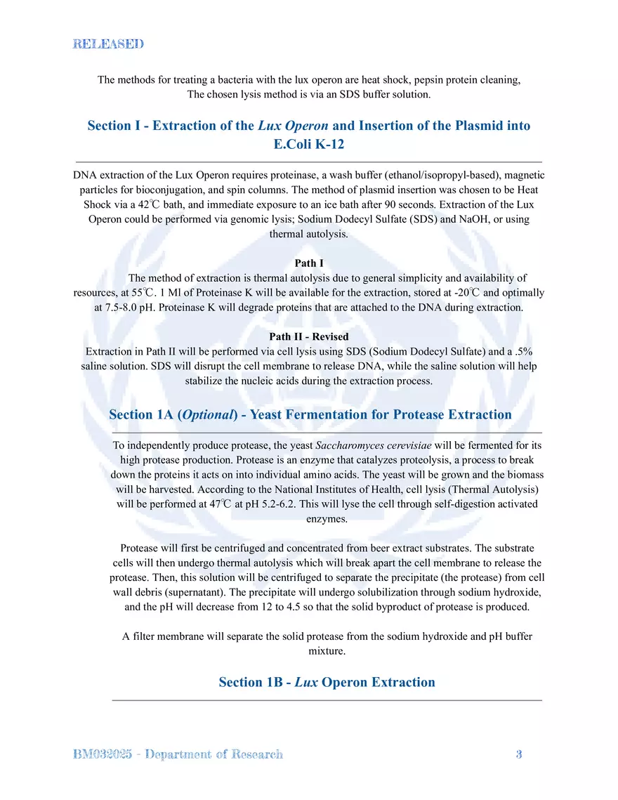 Bioluminescent Bacteria - Page 3