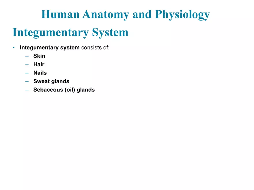 The Integumentary System - Page 1