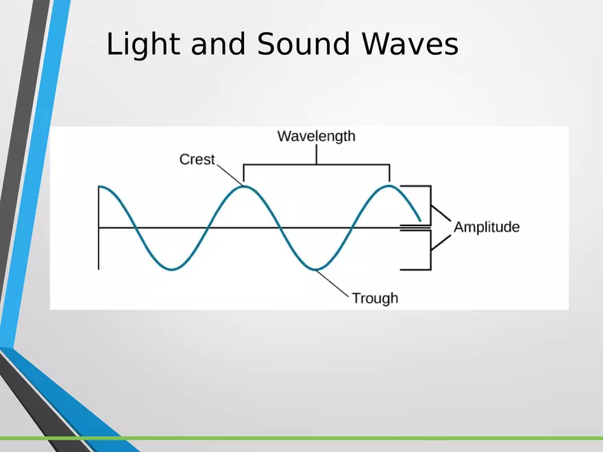 Sensation and Perception Lecture 3 - Page 1