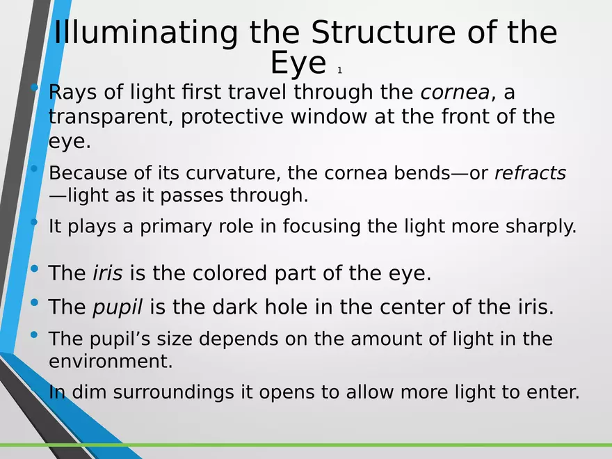 Sensation and Perception Lecture 3 - Page 5