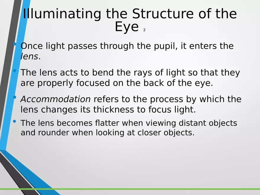 Sensation and Perception Lecture 3 - Page 6