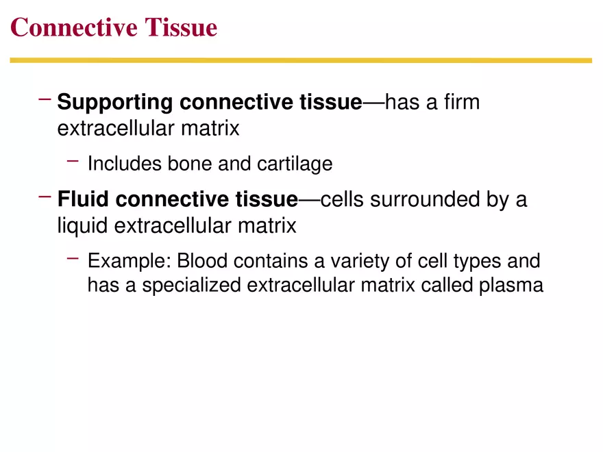 Animal Form and Function Lecture 1 - Page 7