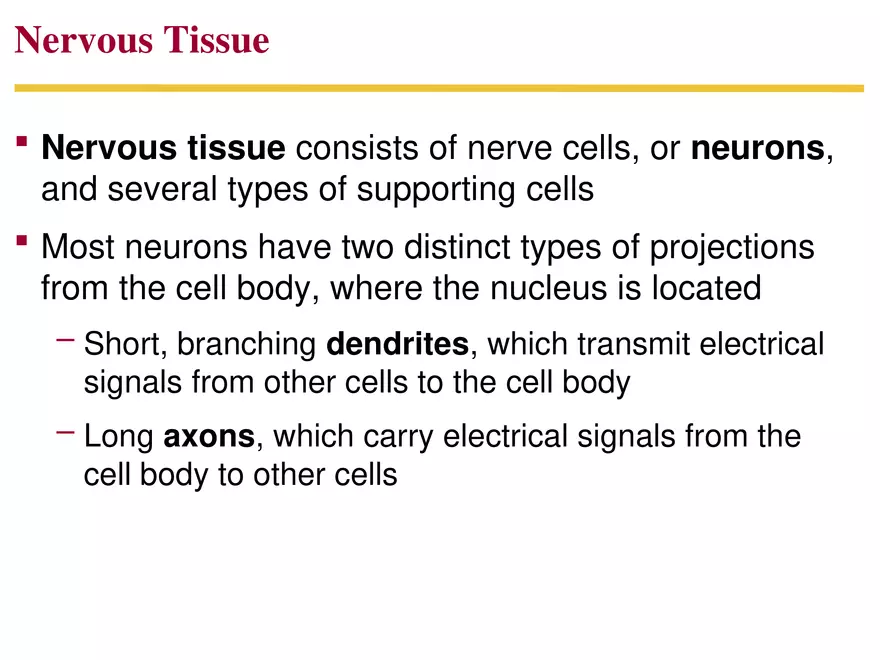 Animal Form and Function Lecture 1 - Page 8