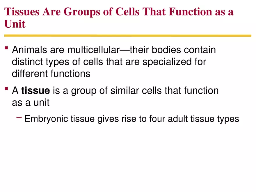 Animal Form and Function Lecture 1 - Page 3