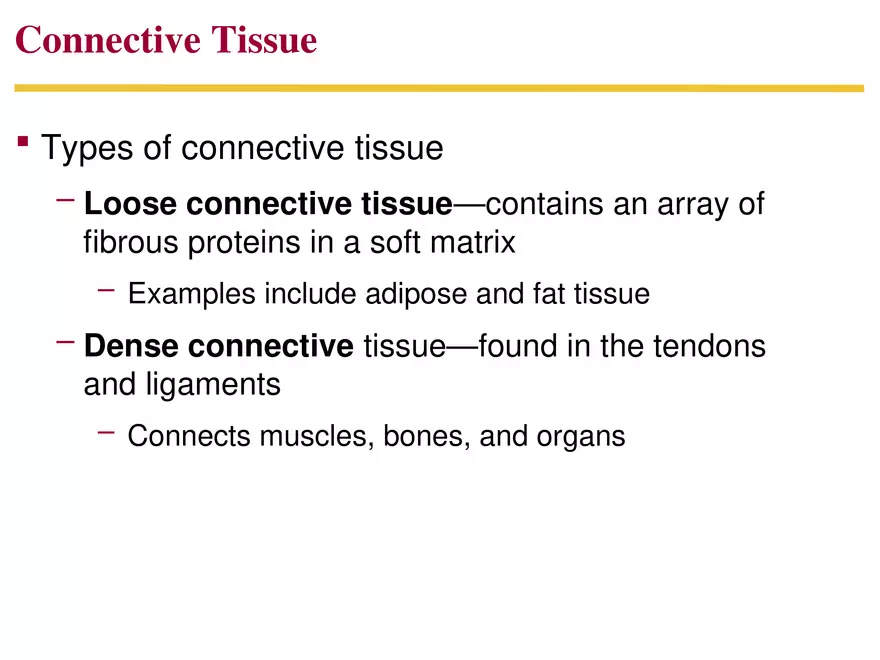 Animal Form and Function Lecture 1 - Page 5