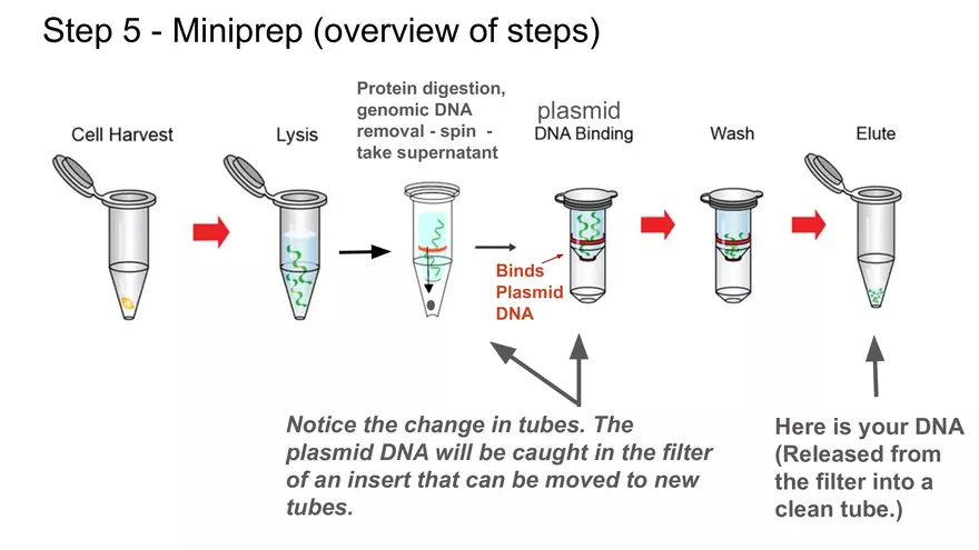 Lab 6 - Overview - Page 7
