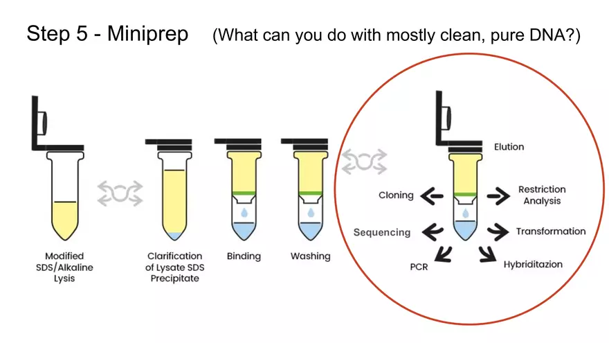 Lab 6 - Overview - Page 8