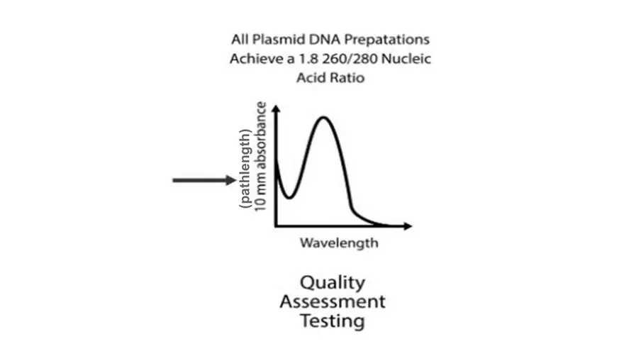 Lab 6 - Overview - Page 12