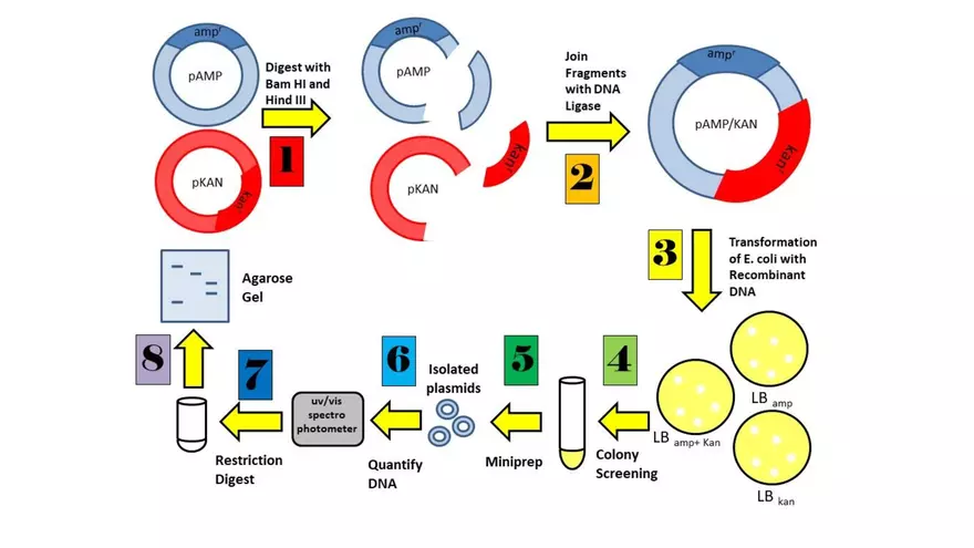 Lab 6 - Overview - Page 13
