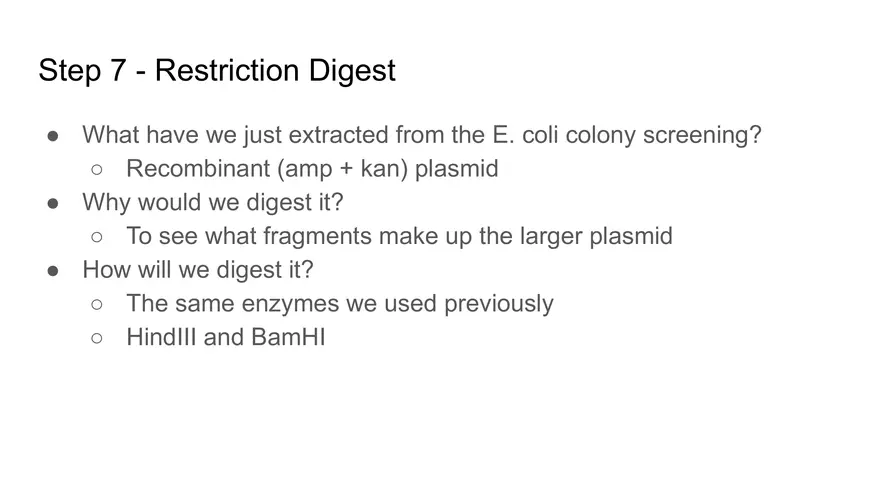 Lab 6 - Overview - Page 17