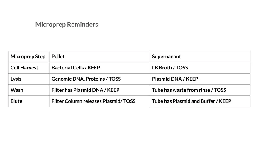 Lab 6 - Overview - Page 19