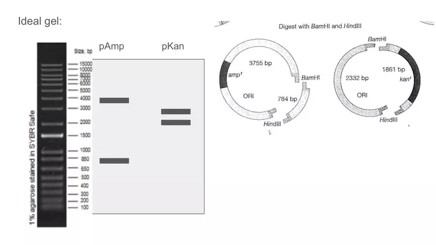 Lab 6 - Overview - Page 20