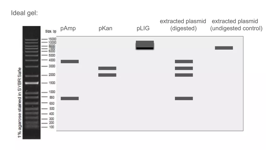 Lab 6 - Overview - Page 21