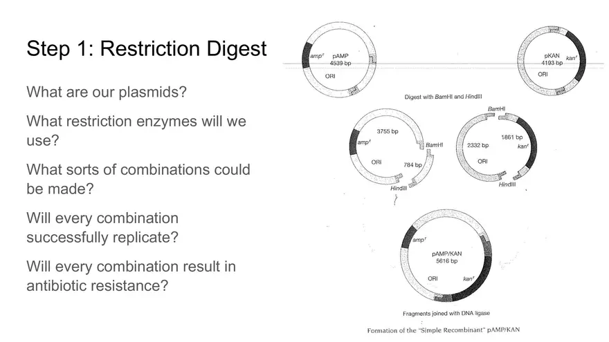 Lab 6 - Overview - Page 22